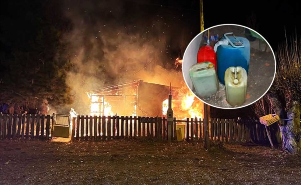15295